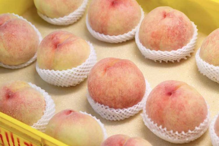 Fresh Yangshan Honey Peach Juice-wuxi Fresh Yangshan Honey Peach Juice-wuxi